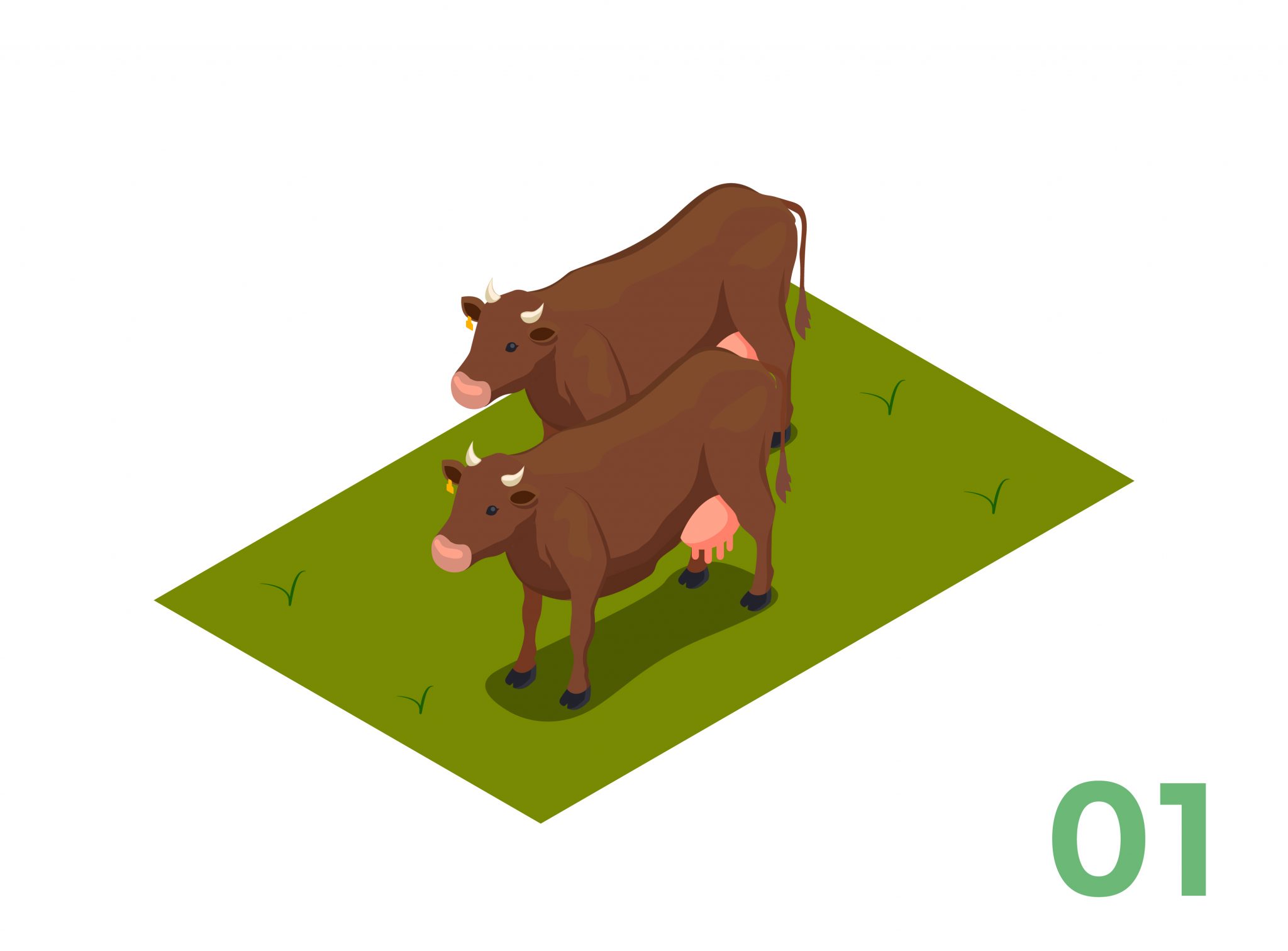 A2 milk home delivery in Chennai Fatcow Diary