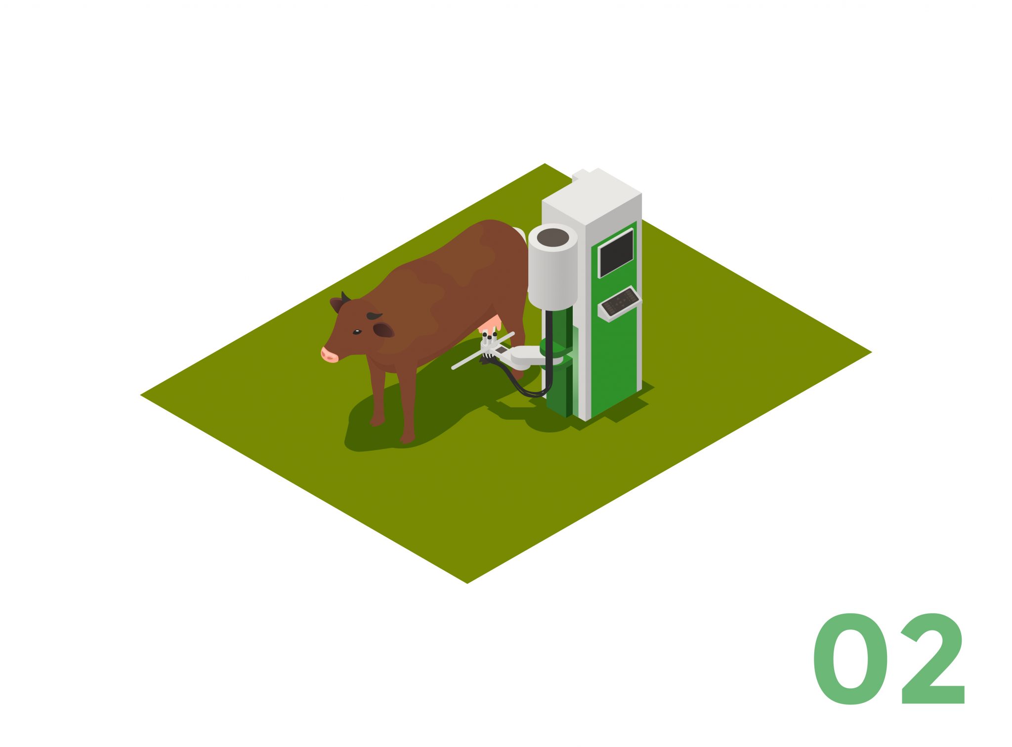 A2 milk home delivery in Chennai Fatcow Diary